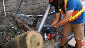 WhatsApp-Image-2018-12-18-at-21.30.36