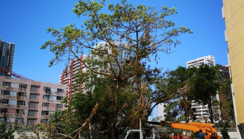 WhatsApp-Image-2018-12-18-at-21.32.50-1