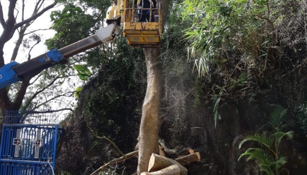 WhatsApp-Image-2018-12-20-at-12.09.15-3