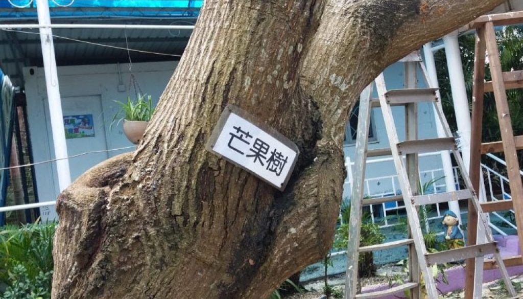 WhatsApp-Image-2018-12-20-at-12.16.24-2