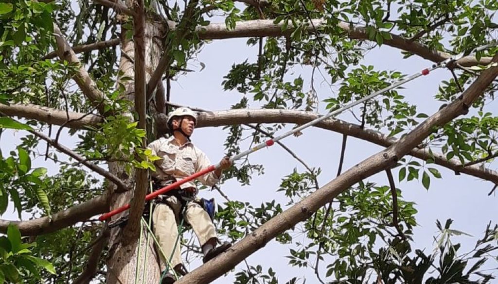 WhatsApp-Image-2018-12-20-at-12.21.37-1